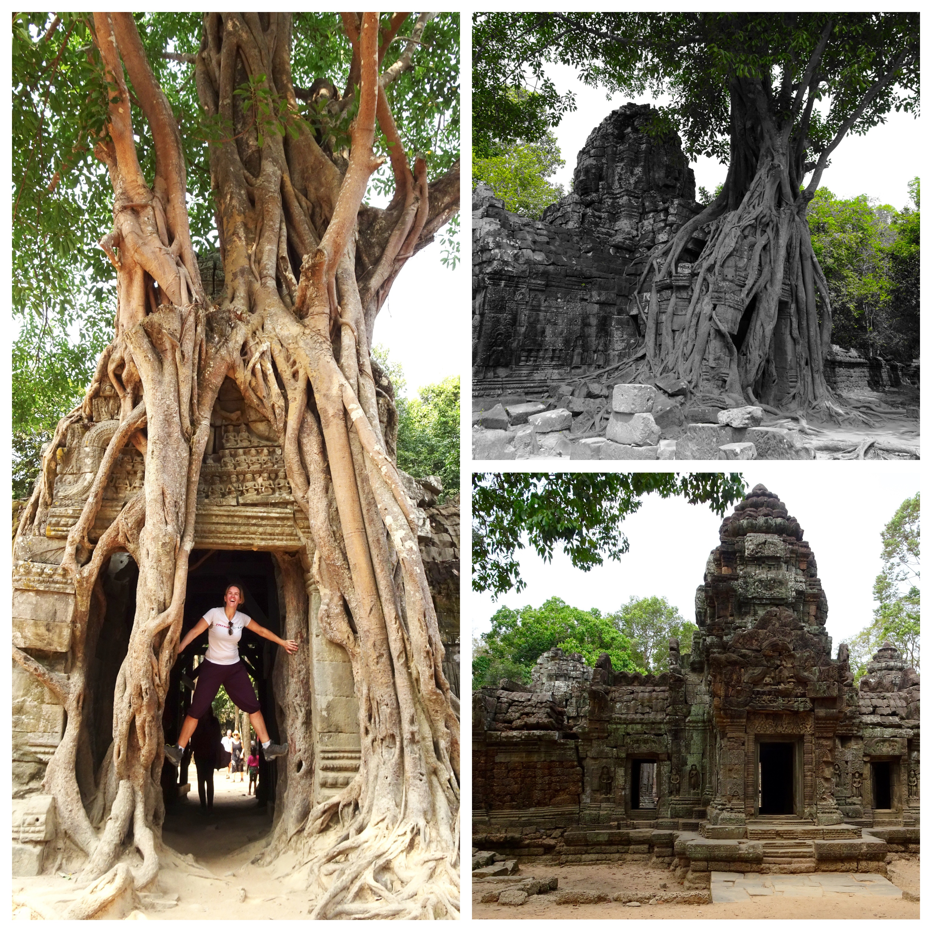 Processed with MOLDIV