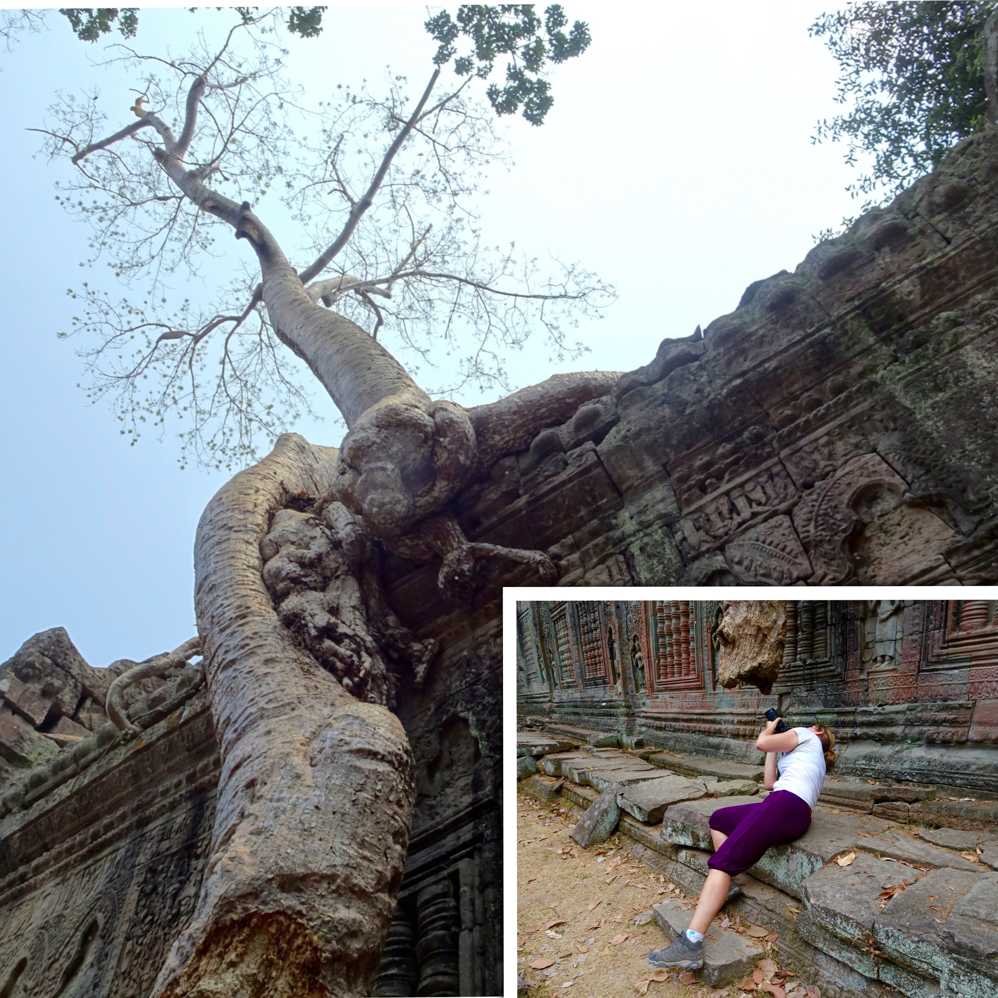 Processed with MOLDIV