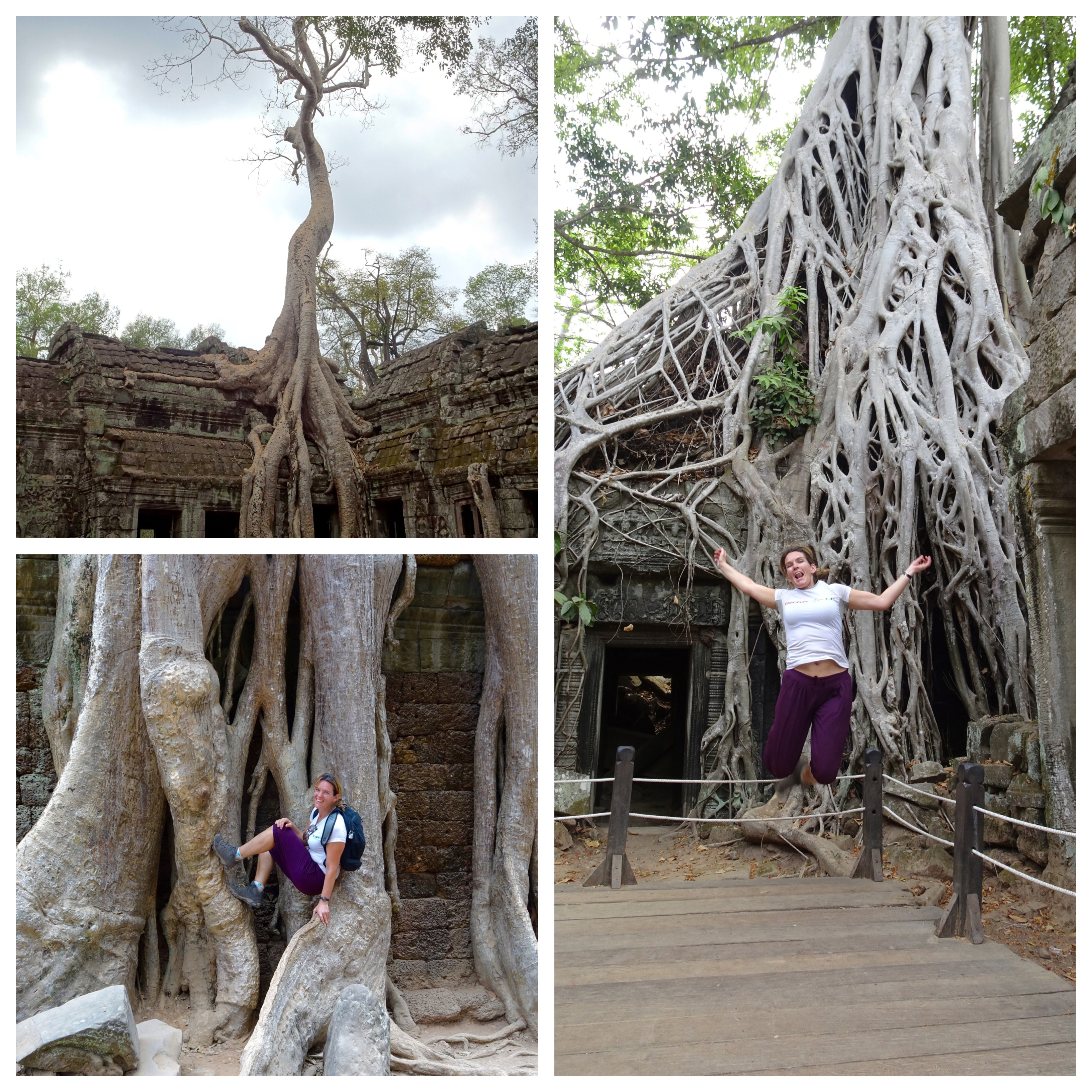 Processed with MOLDIV