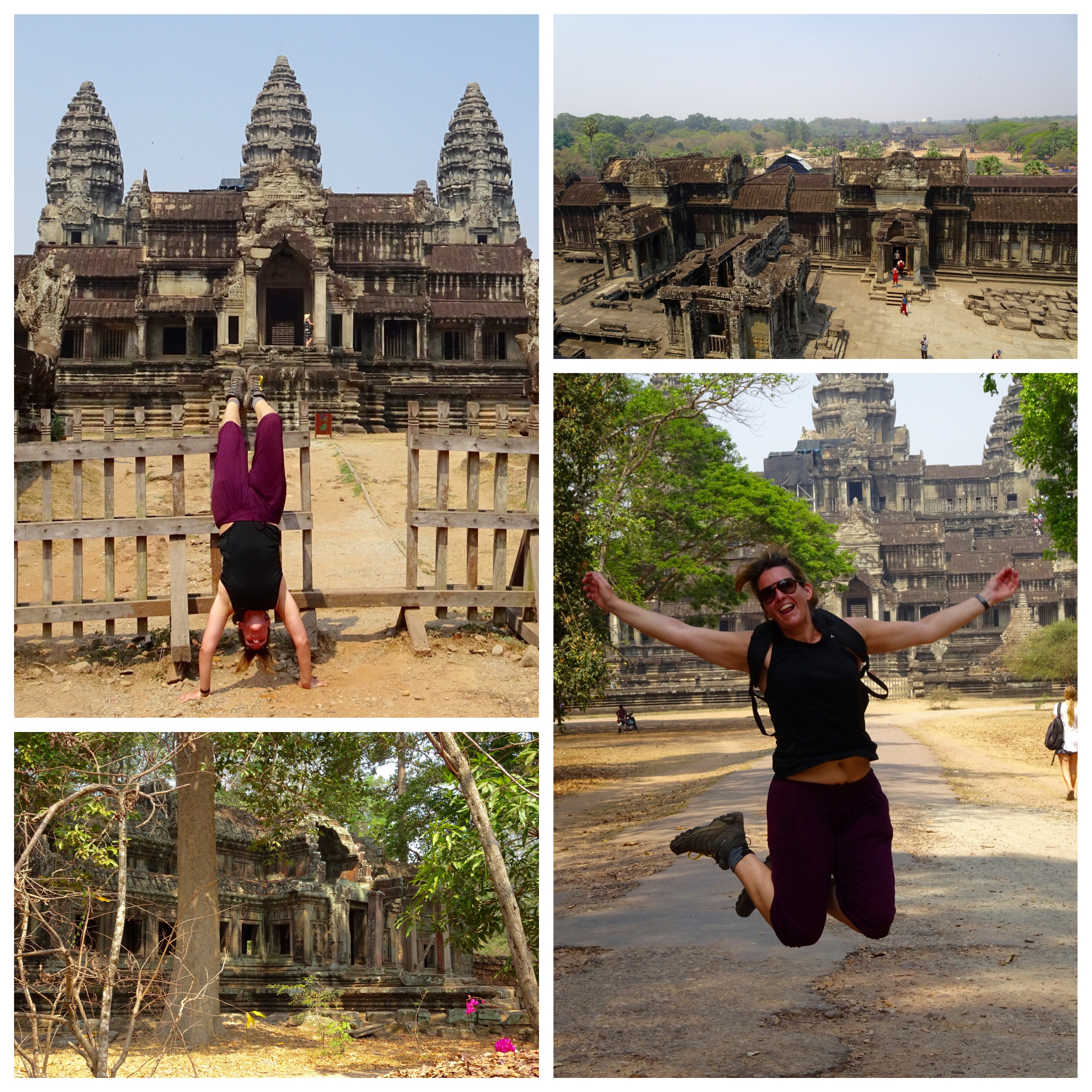 Processed with MOLDIV