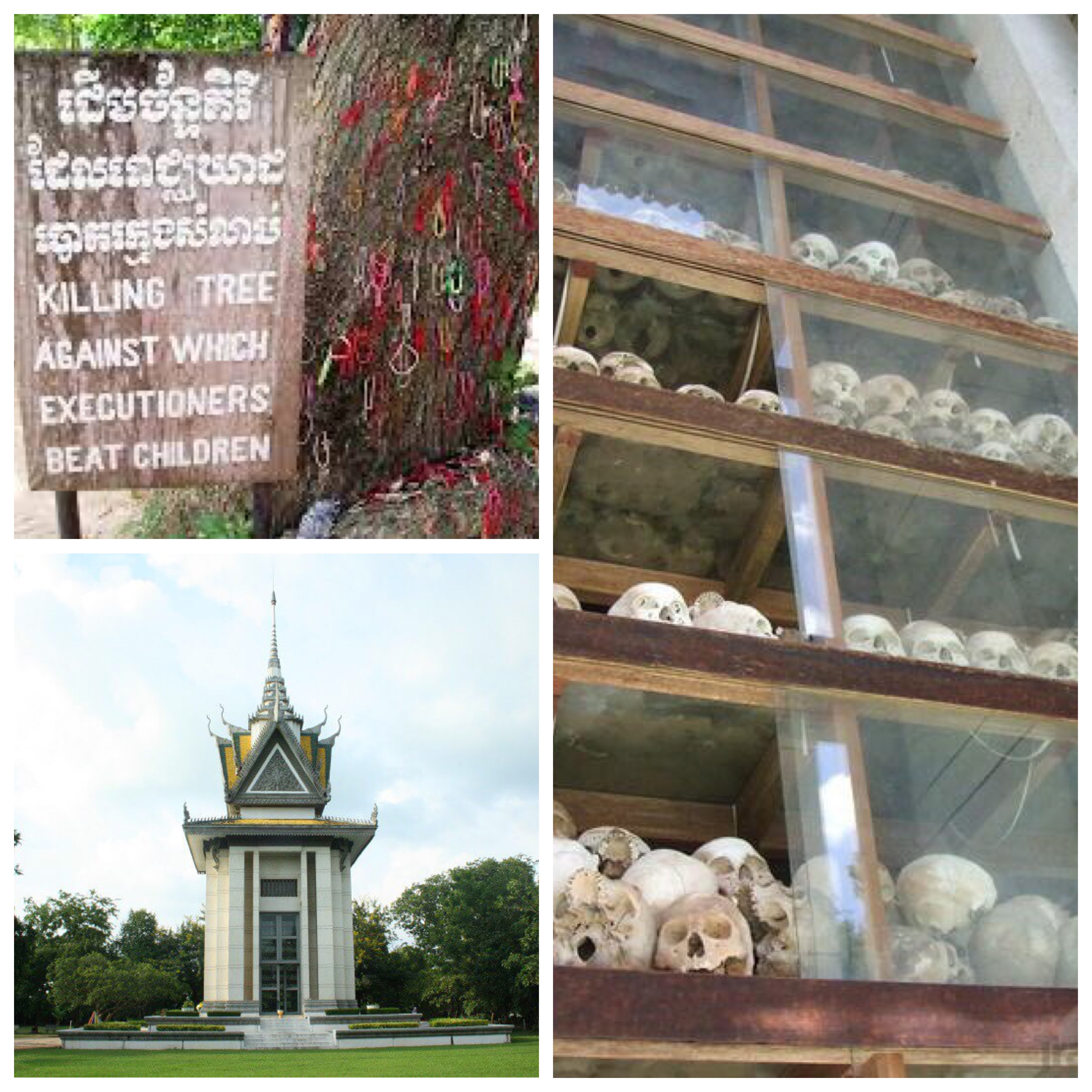 Processed with MOLDIV