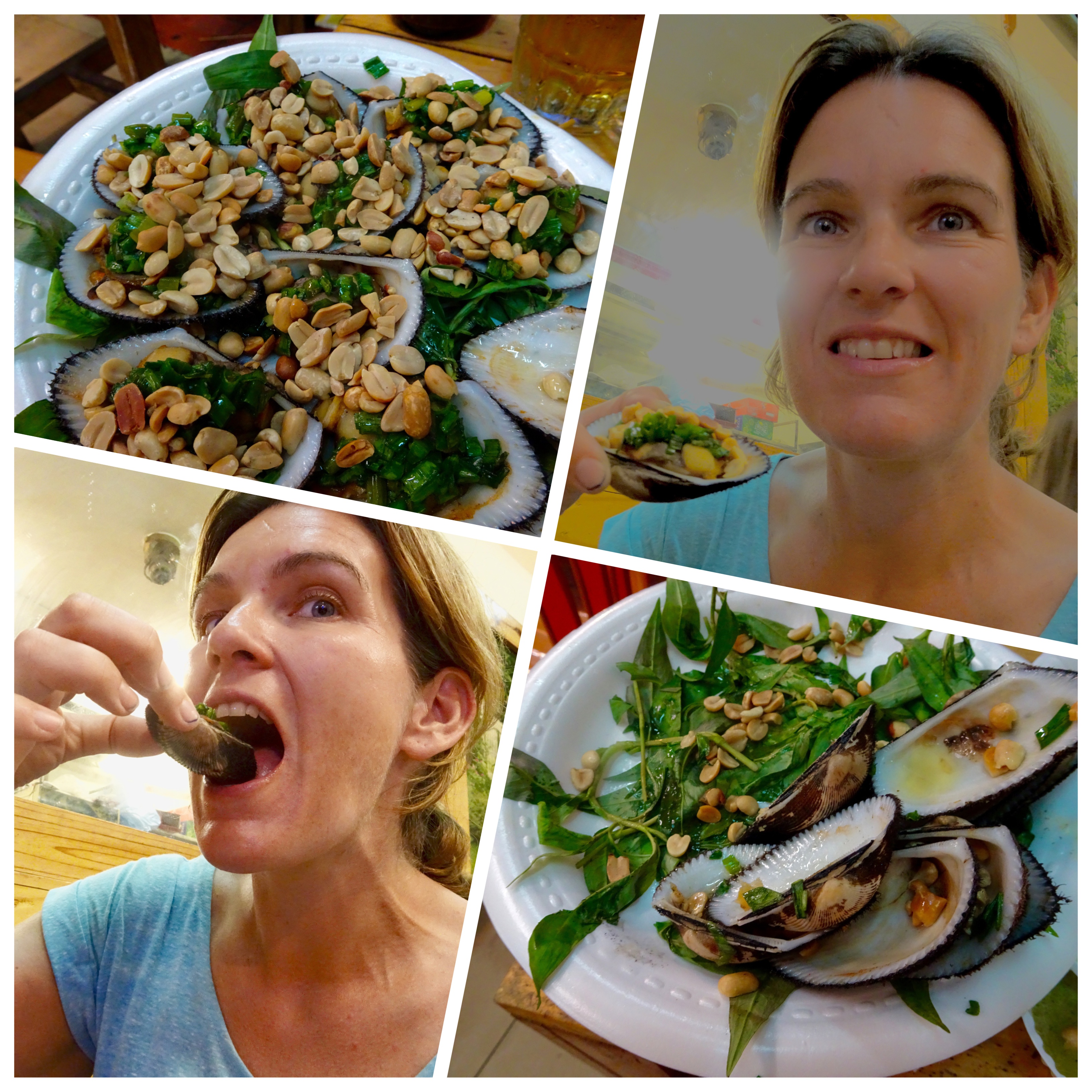 Processed with MOLDIV