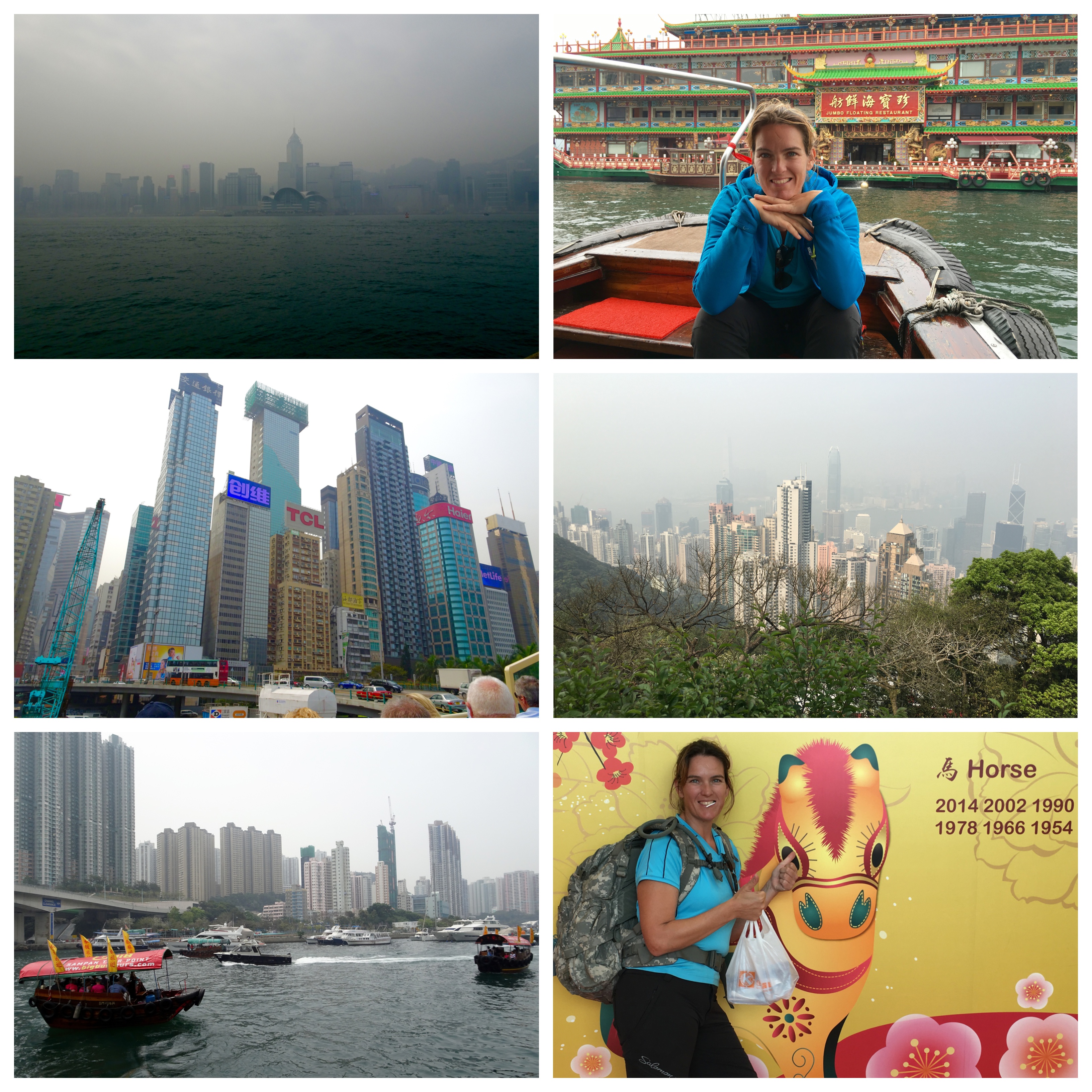 Processed with MOLDIV