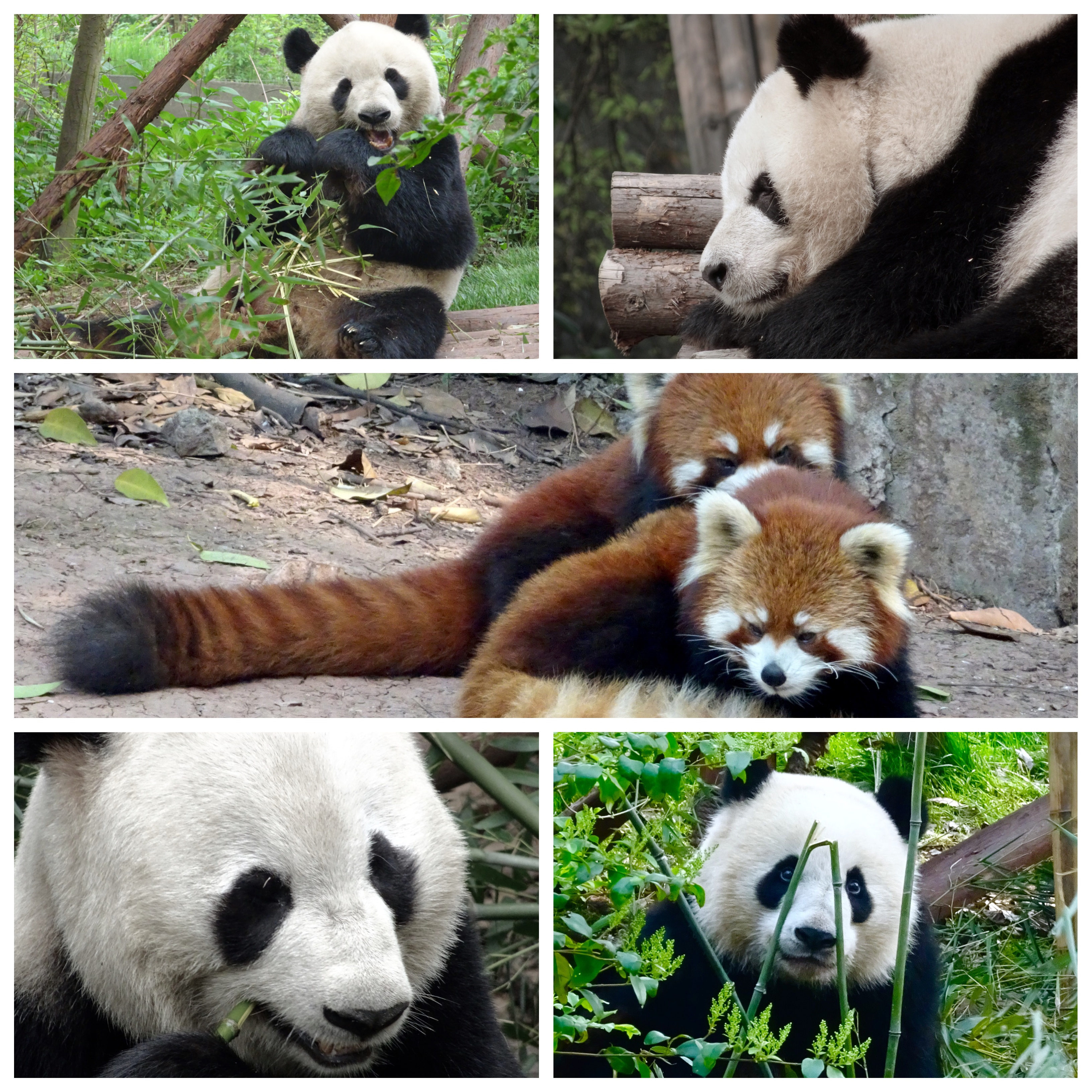 Processed with MOLDIV