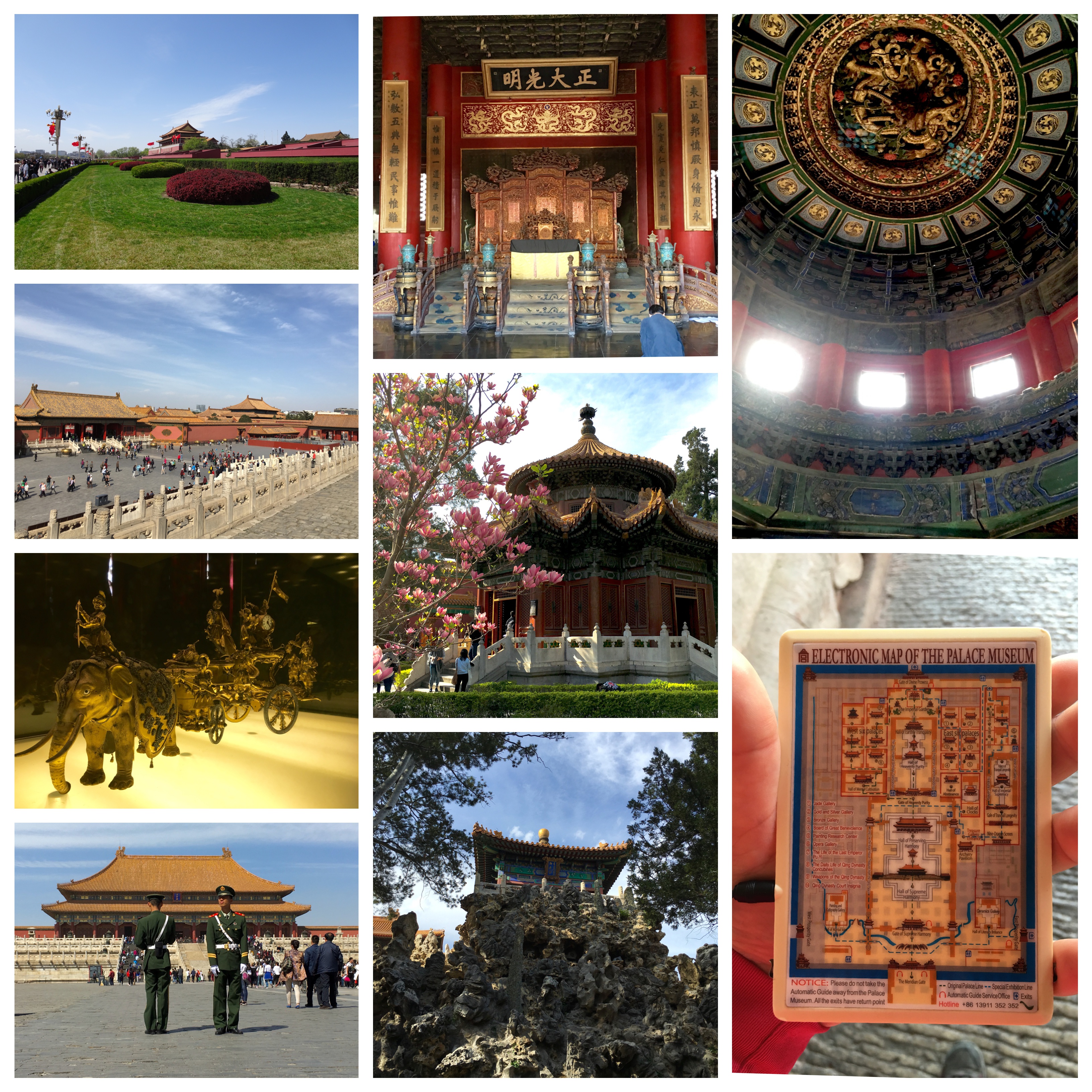 Processed with MOLDIV