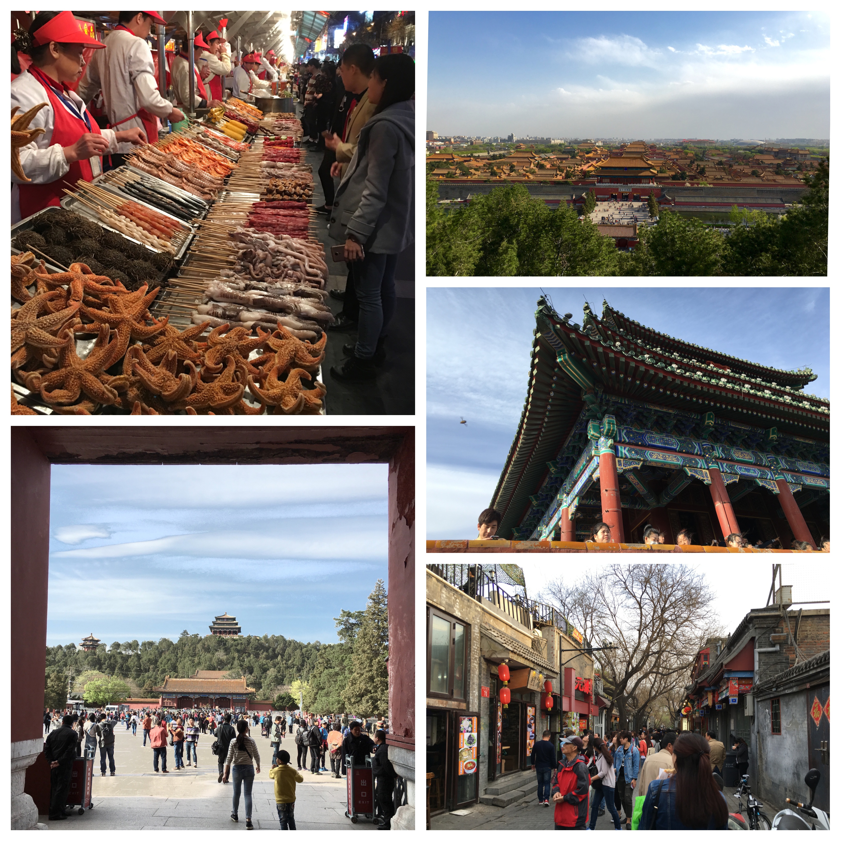 Processed with MOLDIV