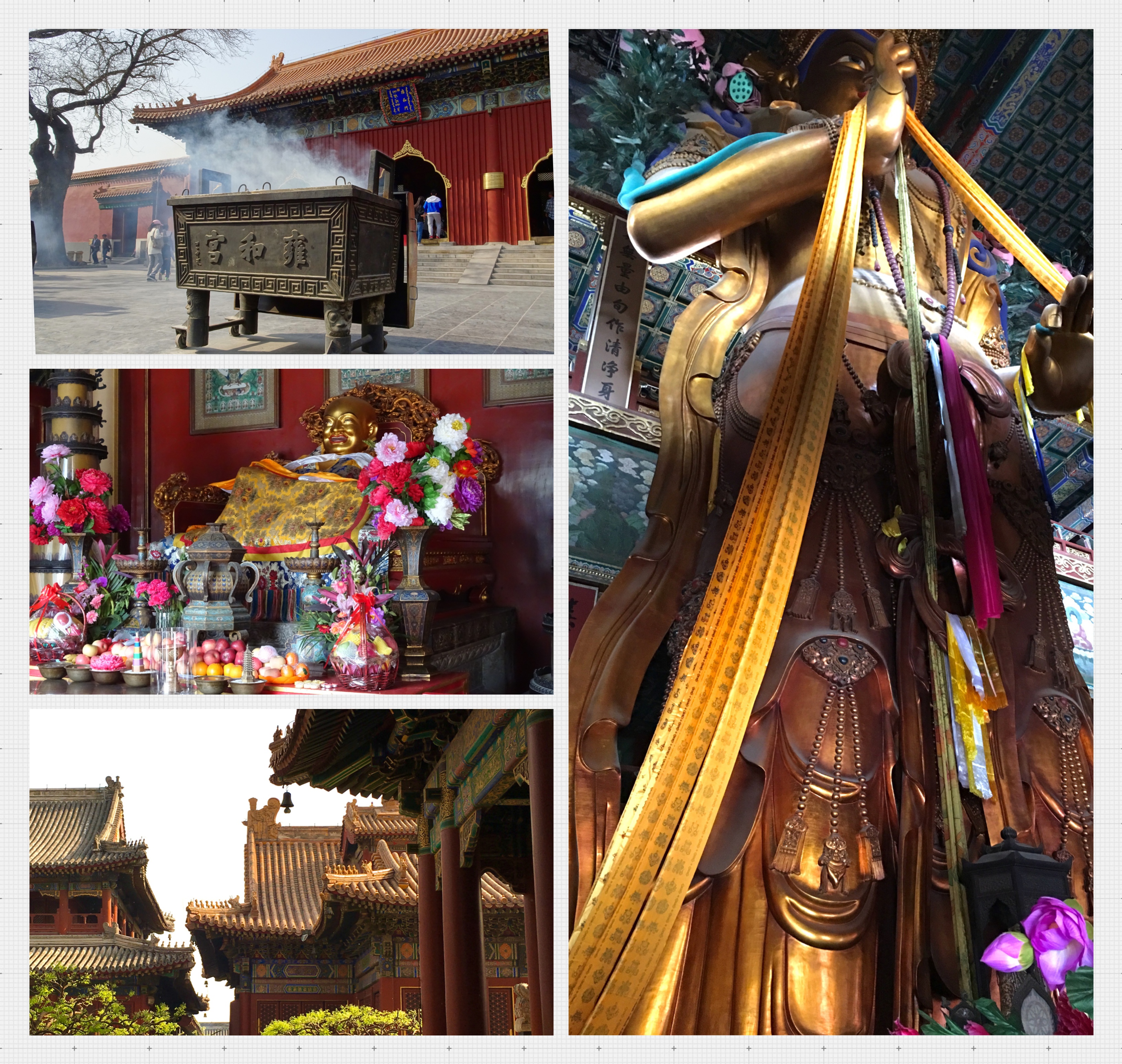 Processed with MOLDIV