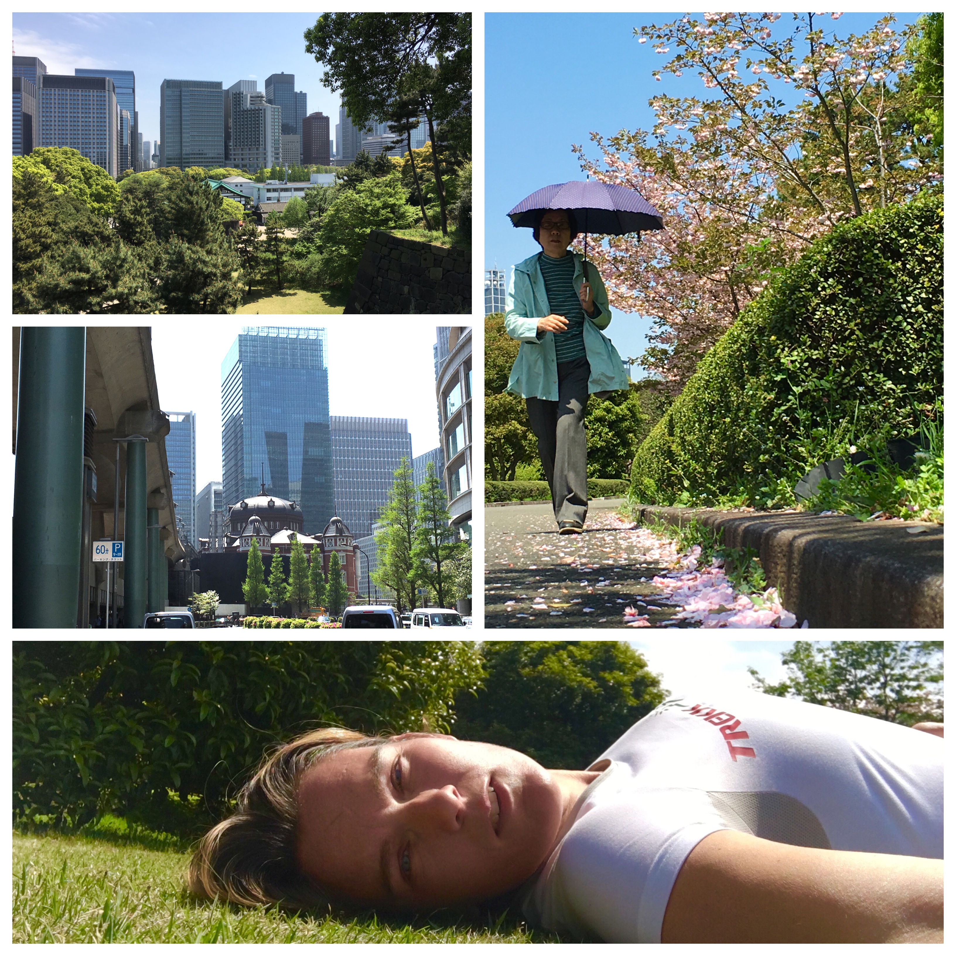 Processed with MOLDIV